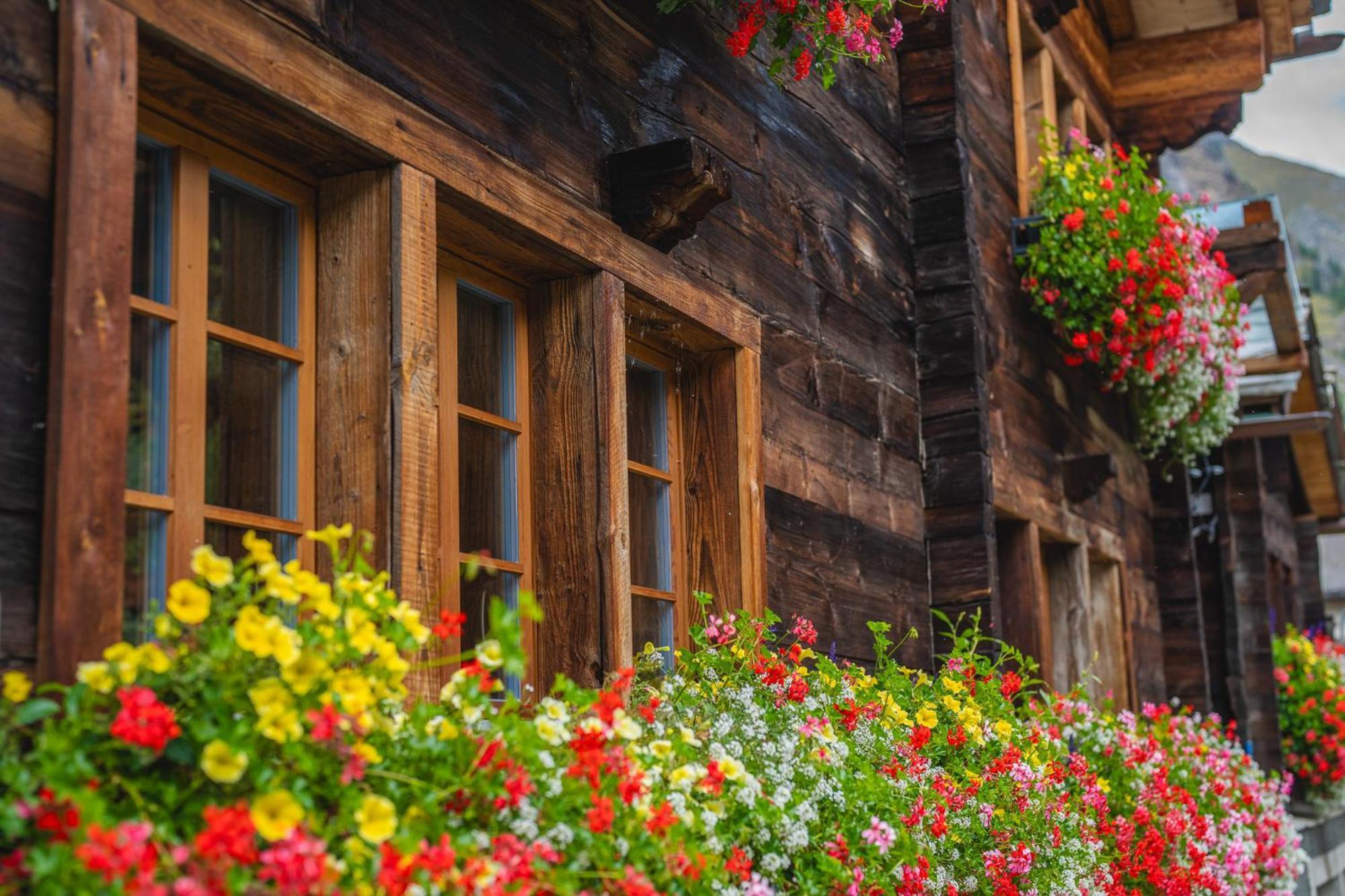 Chalet Schuler Zermatt Eksteriør billede